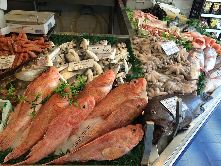 seafood, fish, eating, food and drink, freshness, choice, healthy eating HD wallpaper