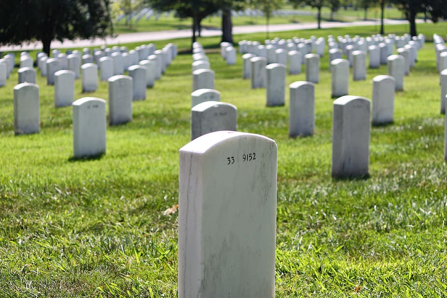 gray concrete headstones on grave, Arlington, Cemetery, Cemetery, Grave