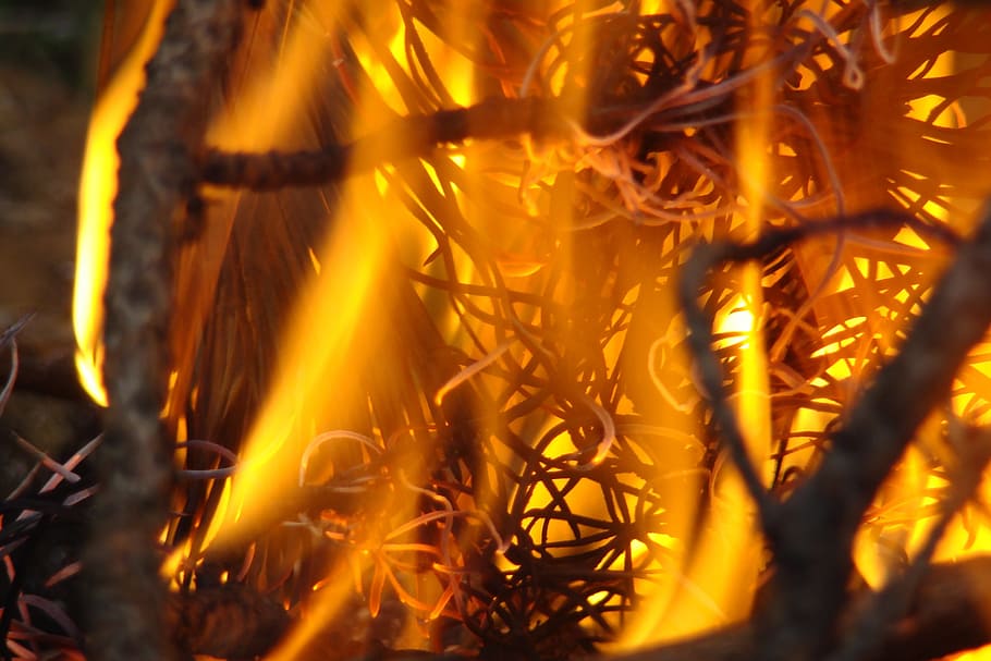 fire, koster, heat, bonfire, tourism, coals, flame, burns, spark HD wallpaper