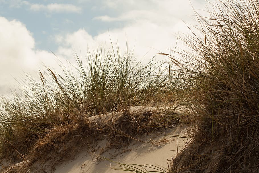 dune, island, north sea, amrum, sand dune, clouds, dune ridge, HD wallpaper