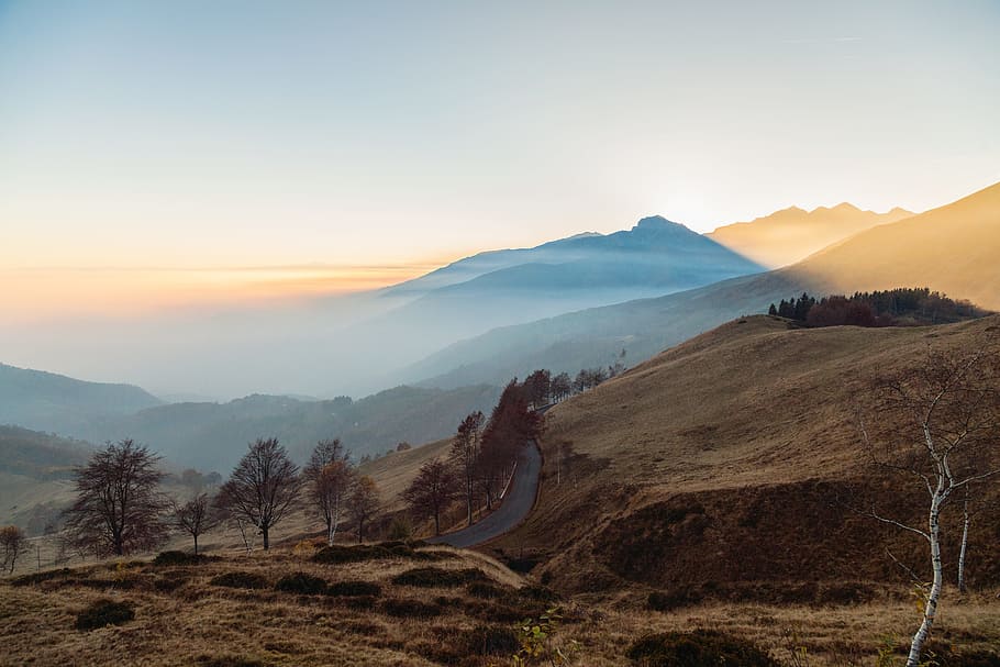 highland, mountain, grass, sky, clouds, landscape, nature, tree HD wallpaper