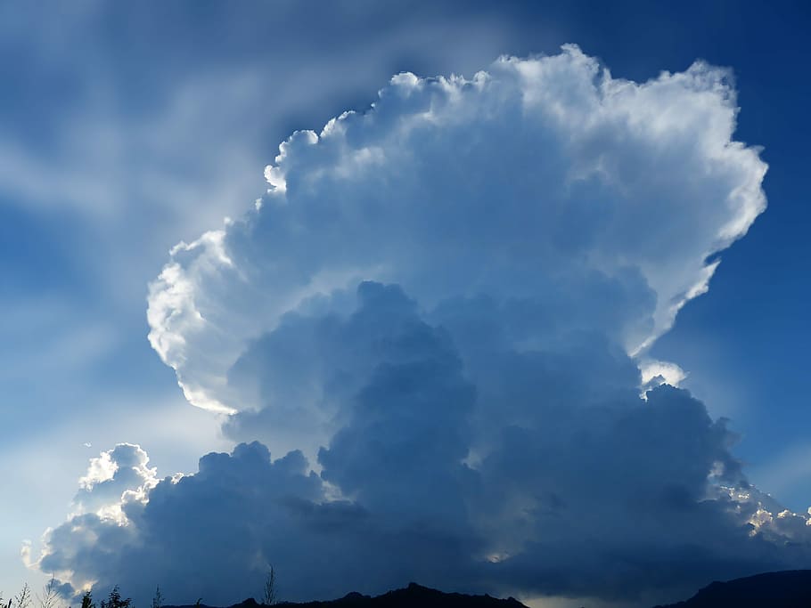 low angle photo of white clouds, giant, sky, blue, fungus, nature HD wallpaper