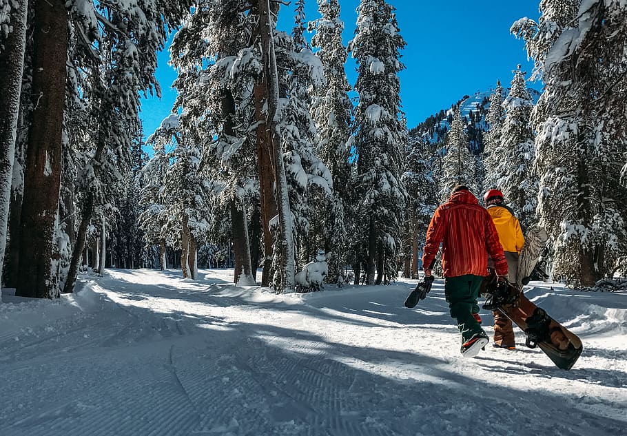 two men walking on snow, two person walking on snow covered ground between trees during daytime HD wallpaper