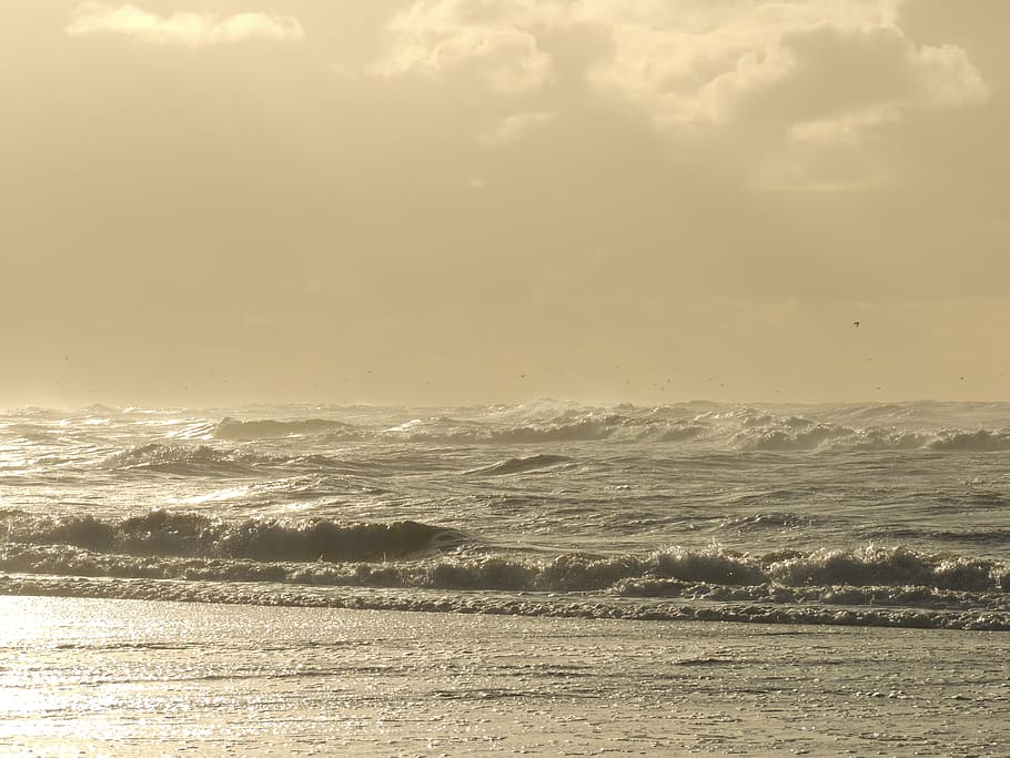 sea, waves, coast, beach, sunset, texel, slufter, water, sky HD wallpaper
