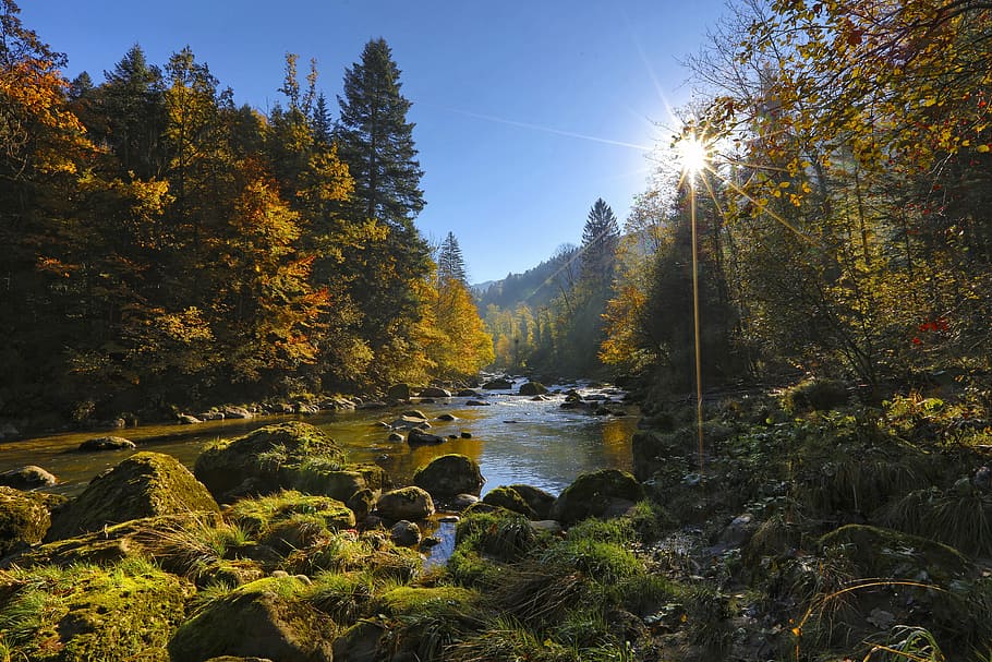 sunlight through tree, body of water between trees, mountain HD wallpaper
