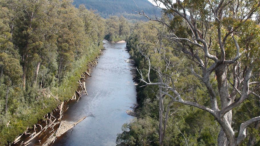 river, tree, landscape, scenic, environment, mountain, forest HD wallpaper
