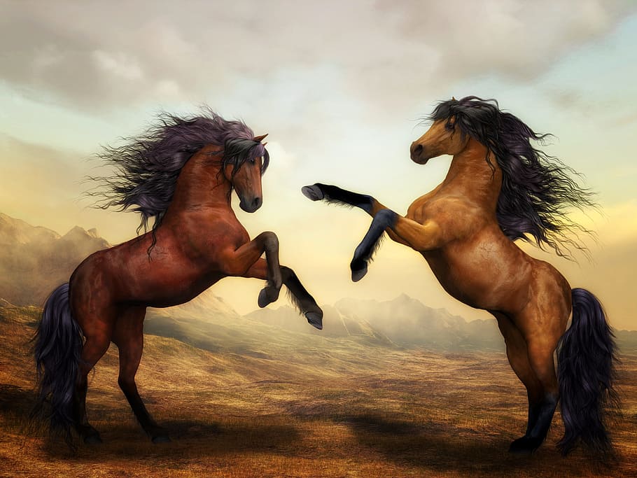 two brown horses, wild horses, digital art, nature, landscape, HD wallpaper