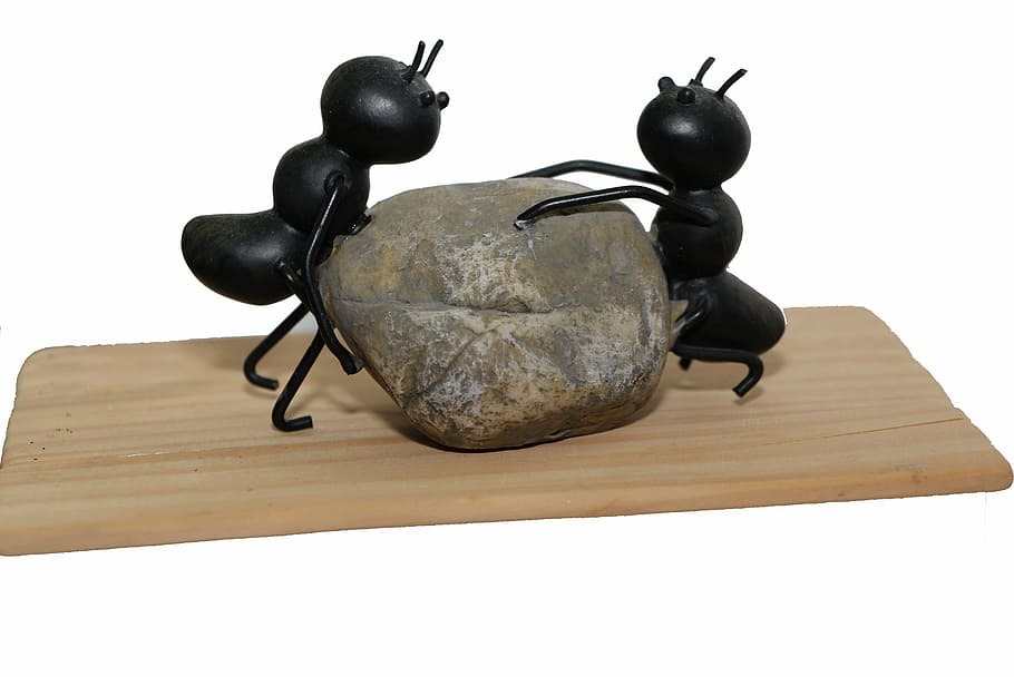 two black ants lifting gray stone illustration, strong, power HD wallpaper