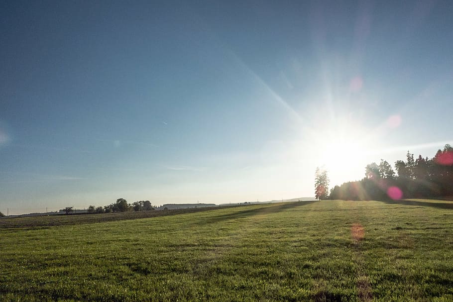 field, meadow, sun, back light, sky, blue, nature, grass, landscape HD wallpaper