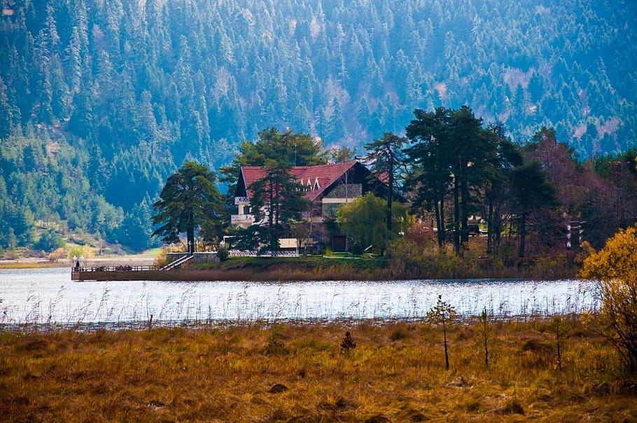 Trees, Forest, Nature, Lake, Water, house, fields, grass, peaceful HD wallpaper