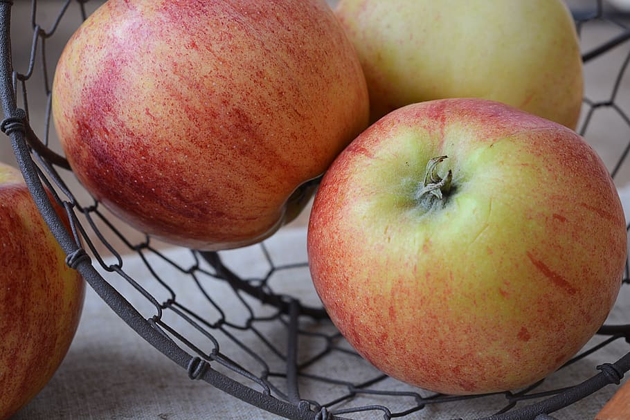 apple, bio apple, fruit, healthy, food, frisch, eat, nutrition HD wallpaper