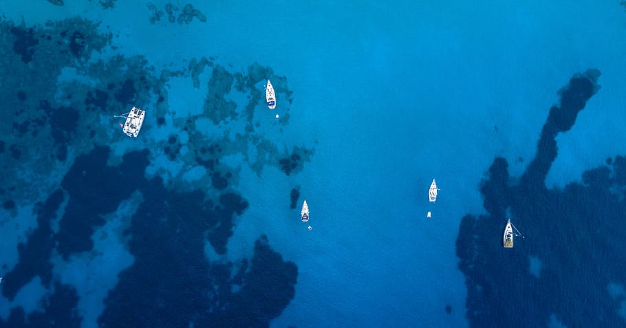 aerial photo of sailboats, five white boats on body of water