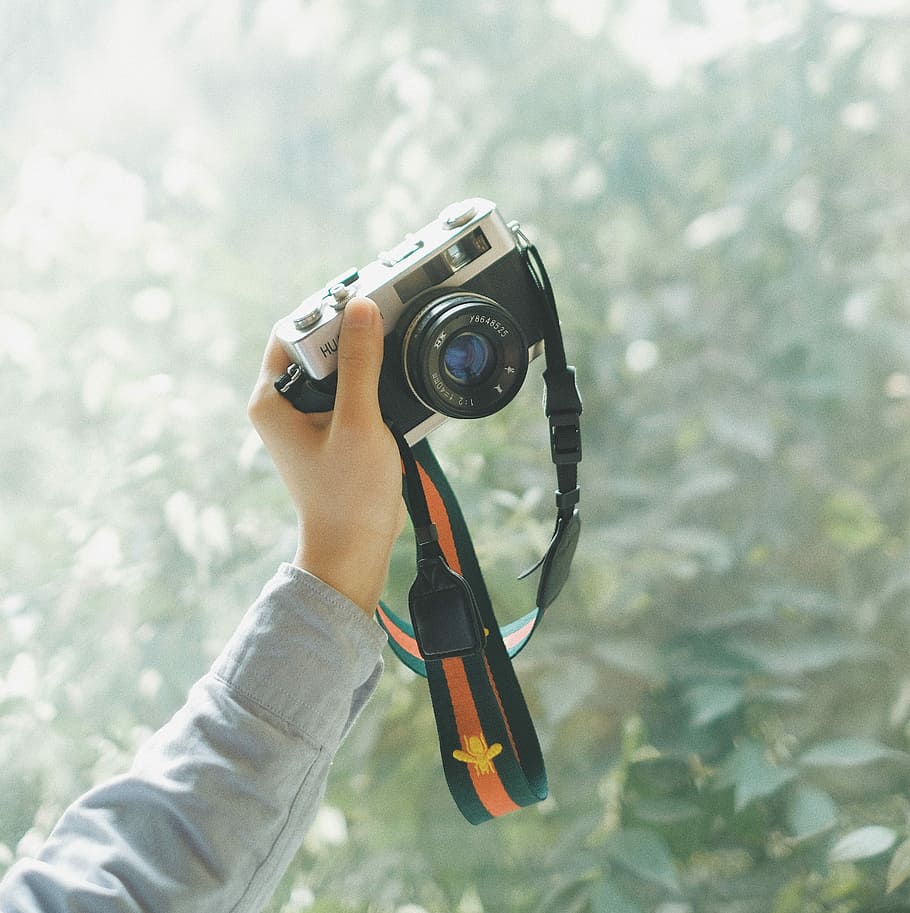 person holding grey and black mirrorless camera in front of green leafed trees during daytime, person holding black and silver DSLR camera