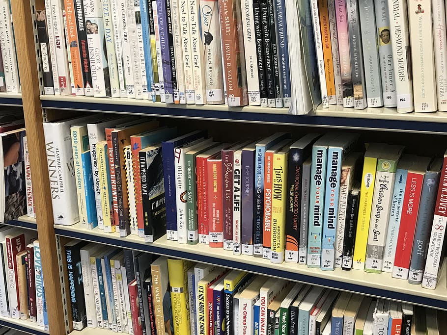 library, books, reading, education, literature, bookstore, library books HD wallpaper