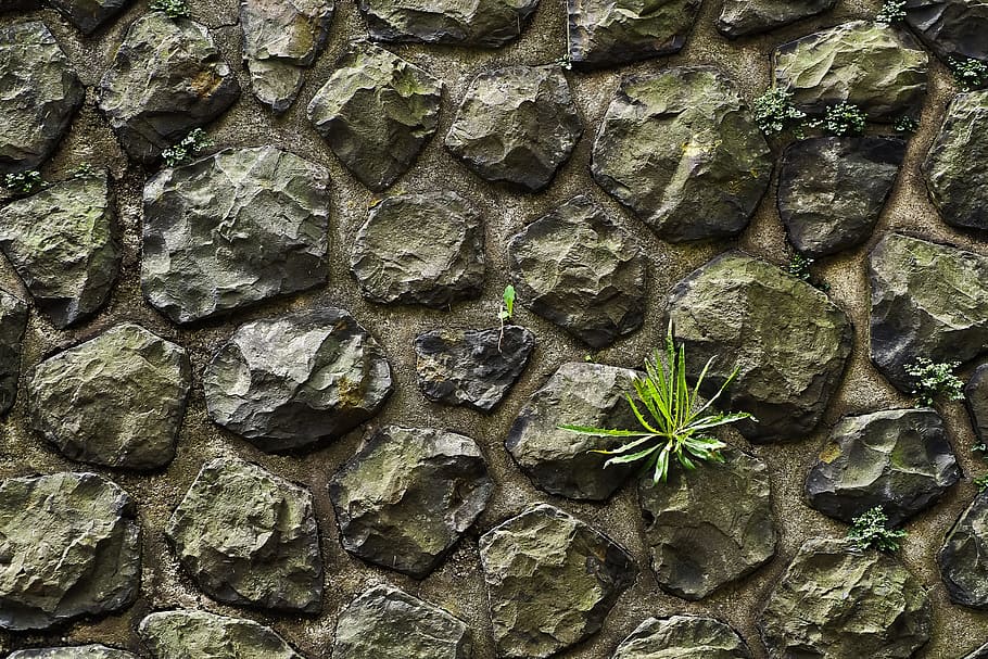wall, stone, stone wall, masonry, grey, natural stone, green HD wallpaper