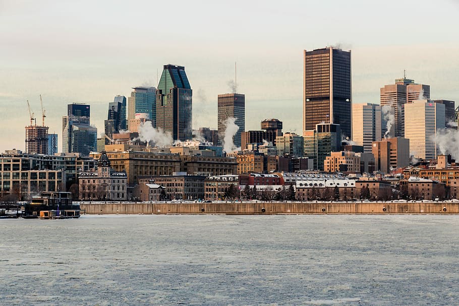 Morning Call, high-rise buildings near body of water, skyline HD wallpaper