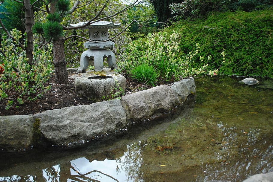 botanical garden, water, pond, calm, japanese, silence, soothing HD wallpaper