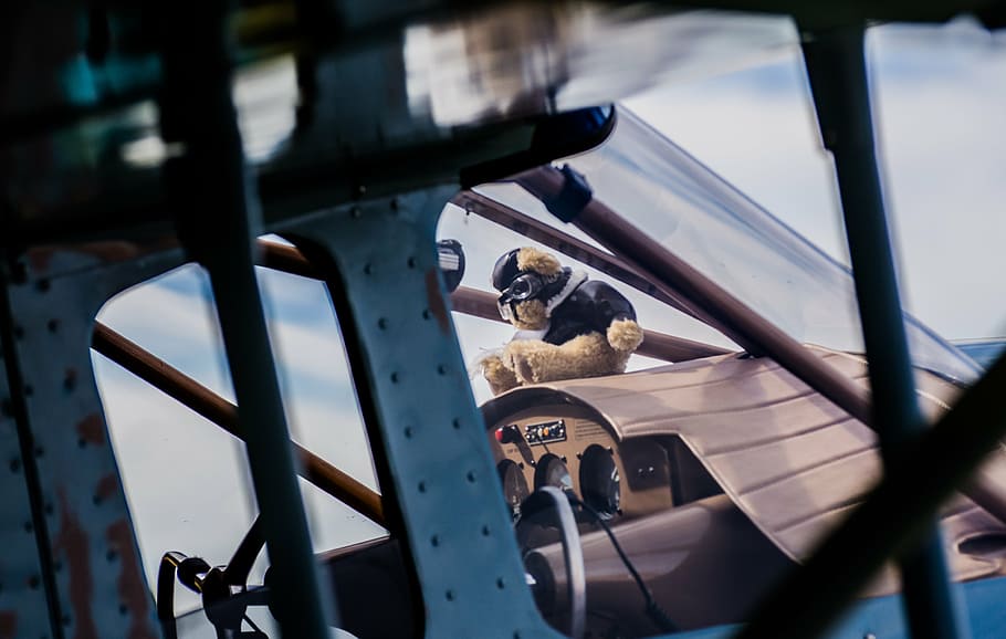 plane, airport, bear, day, transportation, window, group of people HD wallpaper