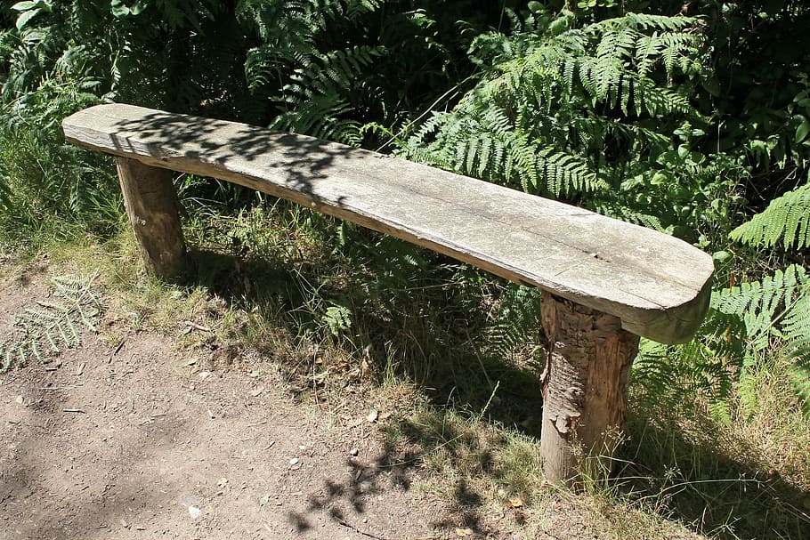 Area, Bench, Forest, Green, Lonely, Path, pathway, quiet, relax HD wallpaper
