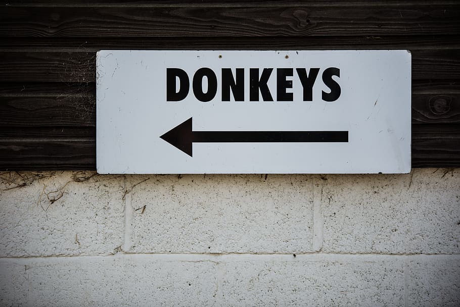 wall, sign, donkeys, text, communication, western script, wall - building feature HD wallpaper