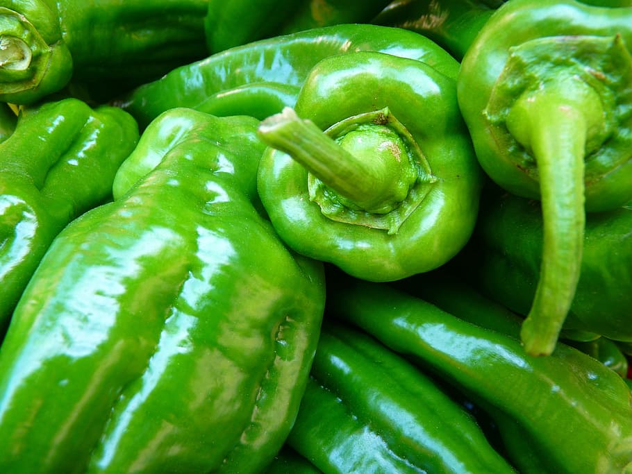 green bell pepper lot, paprika, vegetables, food, food and drink HD wallpaper