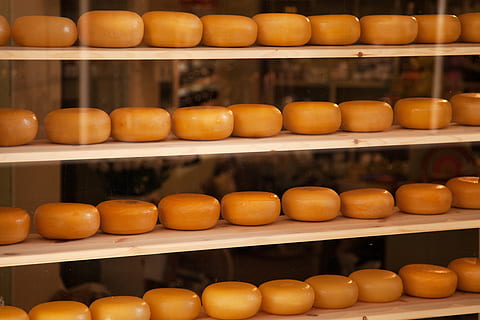 cheeses on brown wooden rack inside room, Cheesy, Circle, Circular HD wallpaper