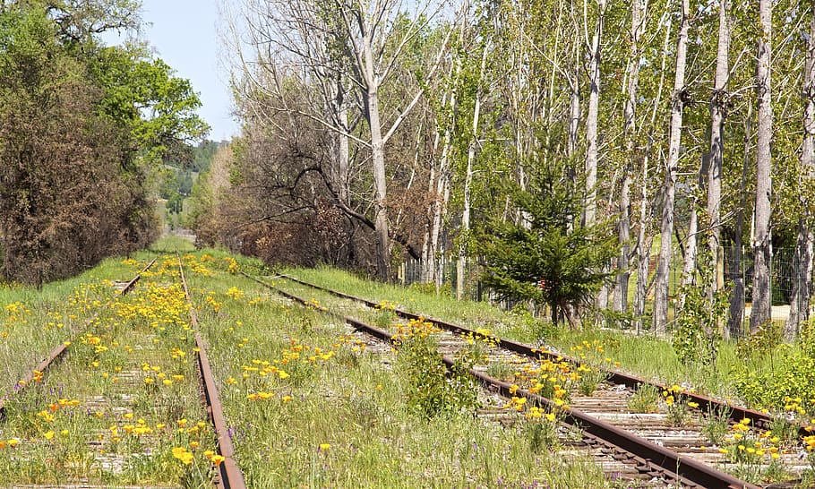 Railroad, Tracks, Train, Railway, line, railroad tracks, train tracks HD wallpaper