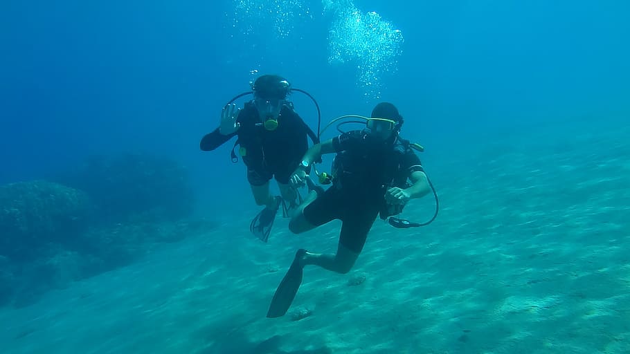 two person scuba diving, sea, underwater, blue, summer, ocean, HD wallpaper