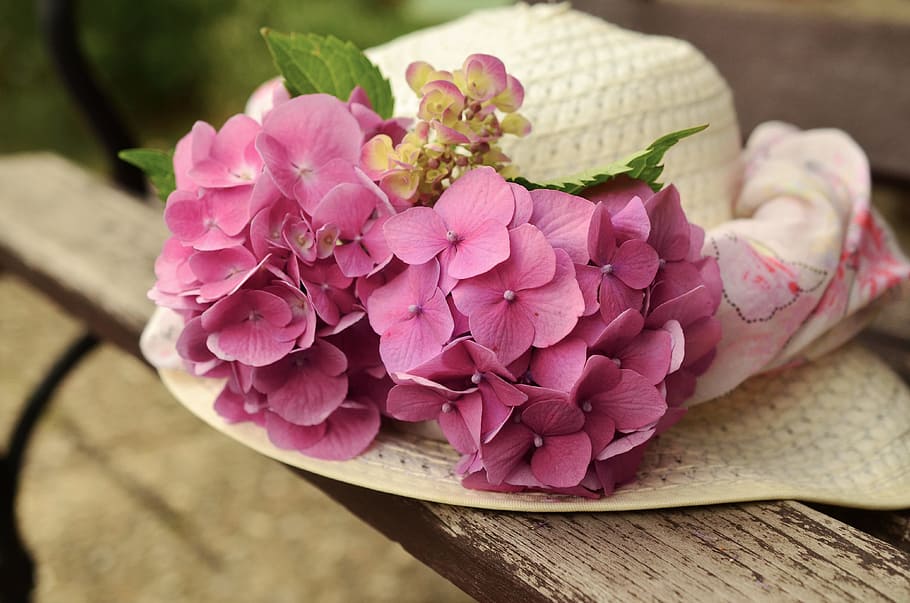 photo of white summer hat with purple petaled flower accent on white wooden surface HD wallpaper