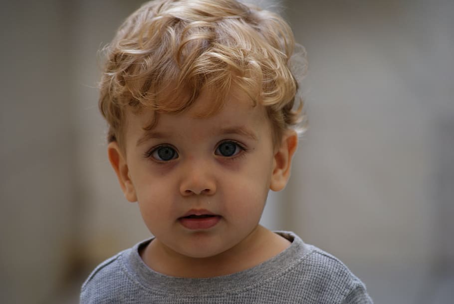 boy wearing gray crew-neck top, child, look, guy, portrait HD wallpaper