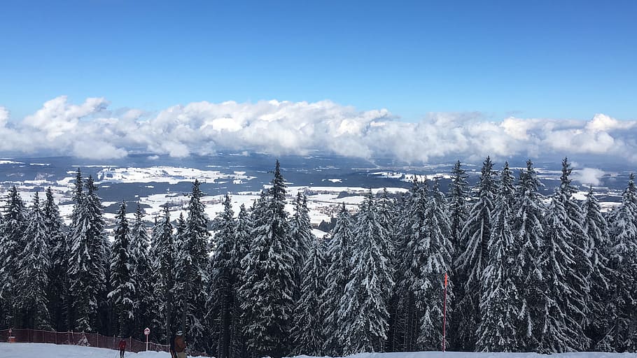mountains, winter, snow, trees, cold temperature, sky, plant HD wallpaper