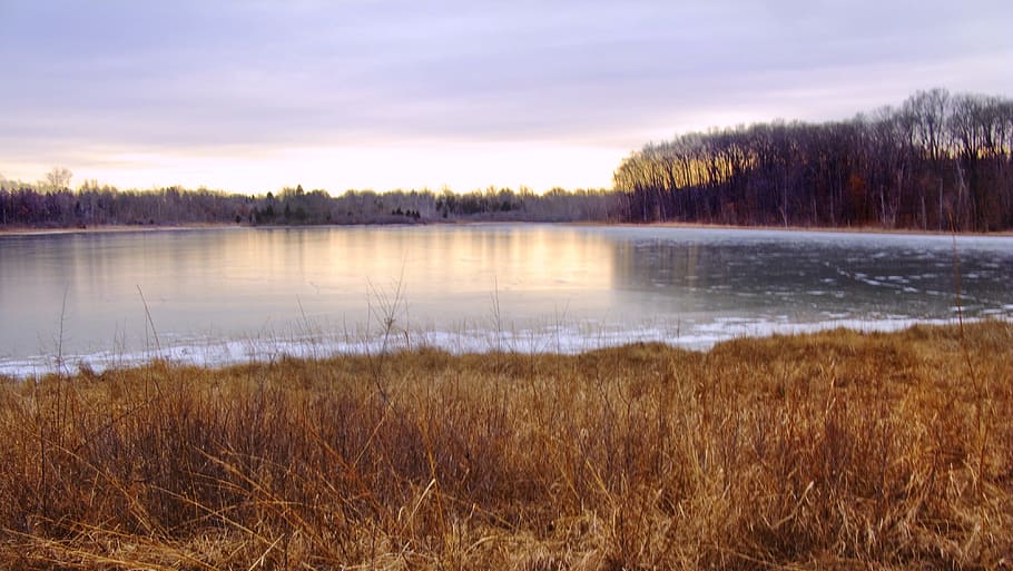 winter, sunset, landscape, forest, park, sunlight, january HD wallpaper
