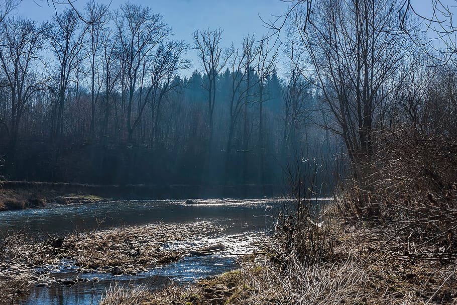 outdoor, trees, river, spring, haze, water, tranquility, plant HD wallpaper