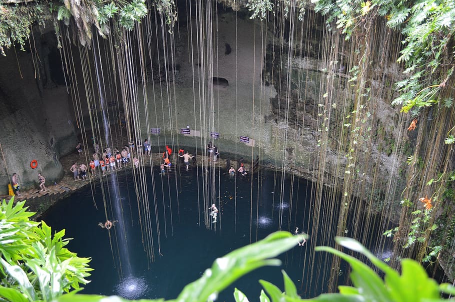 cenote, mexico, well, water, plant, nature, tree, day, growth
