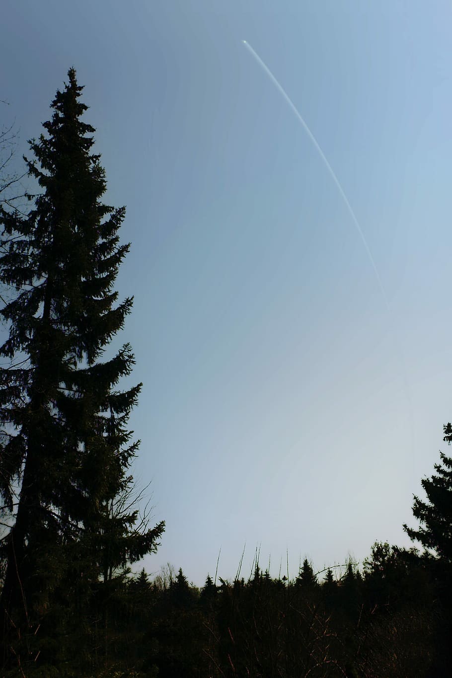 Tree, Sky, Landscape, silhouette, no people, nature, pine tree HD wallpaper