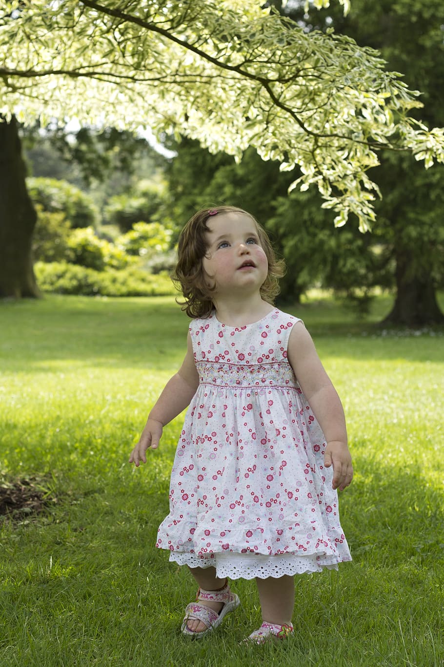 girl's white and pink floral print sleeveless dress, young HD wallpaper