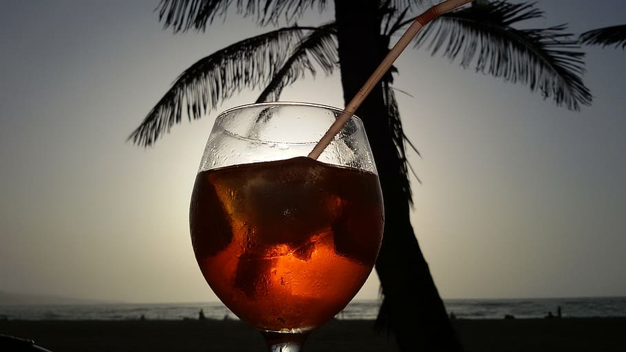 spritz, sunset, palm tree, drink, beach, canary islands, sea HD wallpaper