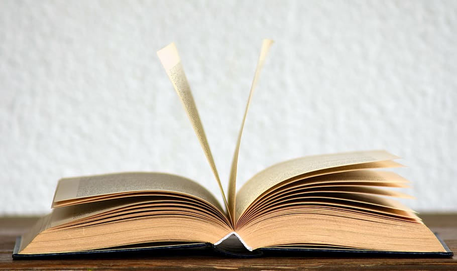 brown book, read, learn, text, literature, book pages, font HD wallpaper