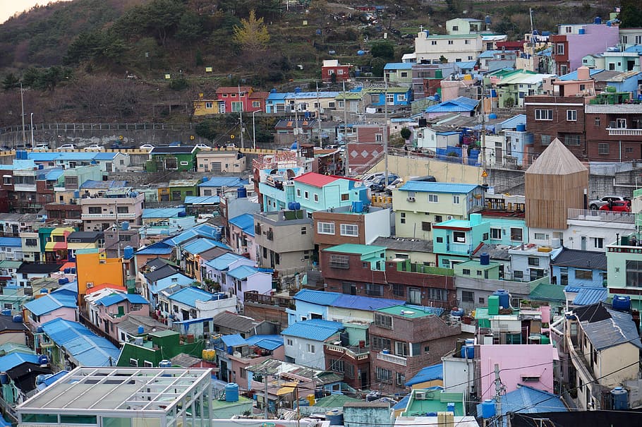 Houses and a village in Busan, South Korea, photos, public domain, HD wallpaper