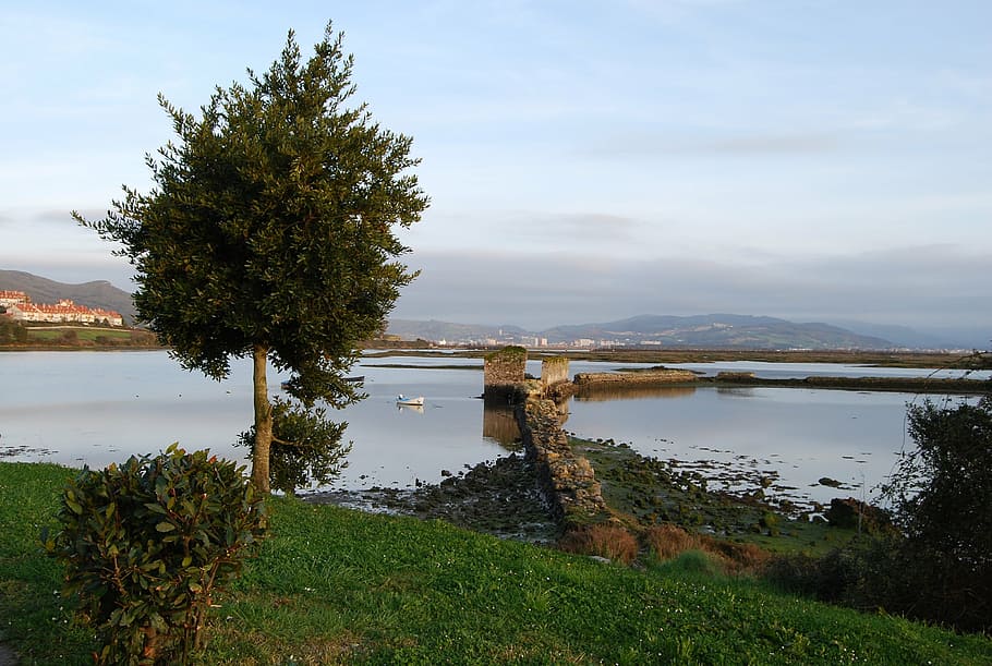santoña, cantabria, spain, water, plant, sky, tranquility HD wallpaper