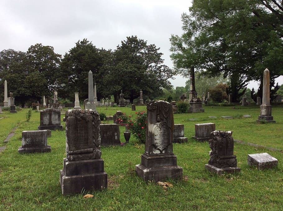 cemetery, graveyard, tombstone, gravestone, headstone, plant, HD wallpaper