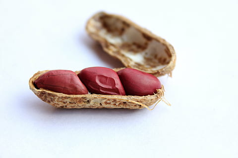 open pod peanut, peanuts, cover, healthy, tasty, food, snack HD wallpaper