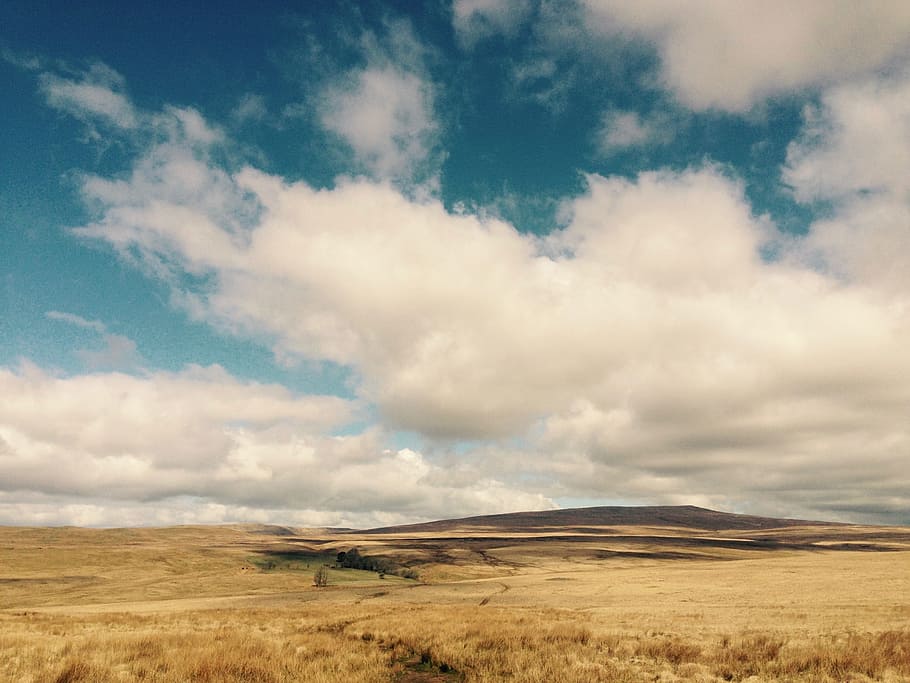 Wales, Brecon Beacons, Brecon, Beacons, nature, countryside HD wallpaper