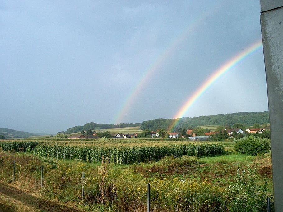 rainbow, nature, sky, agriculture, rural Scene, farm, scenics - nature HD wallpaper