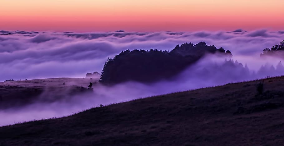 mountain covered with white clouds during daytime, mist, dawn HD wallpaper