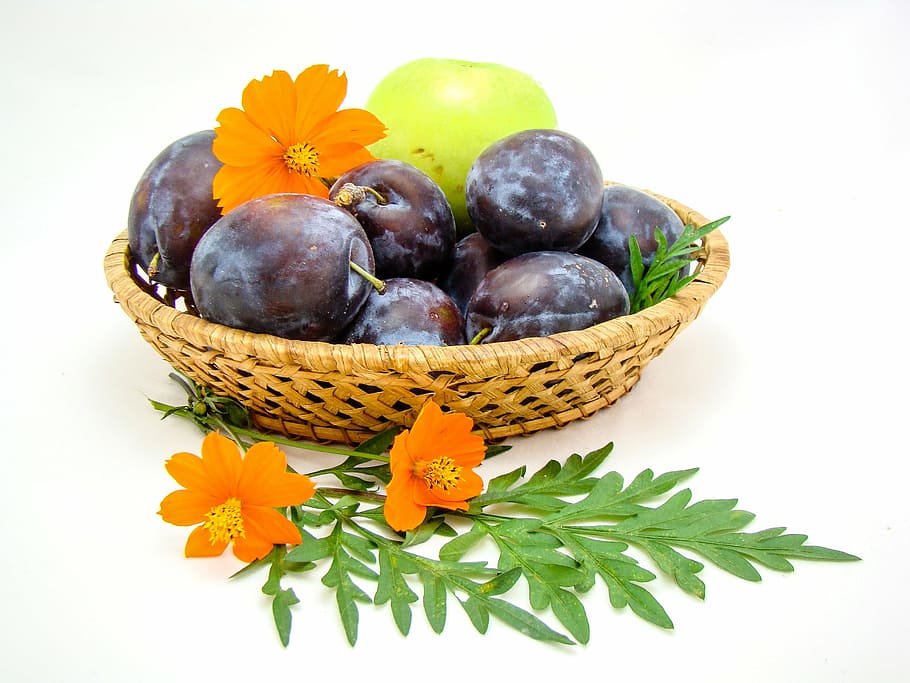fruit, basket, flowers, plum, apple, white background, summer HD wallpaper