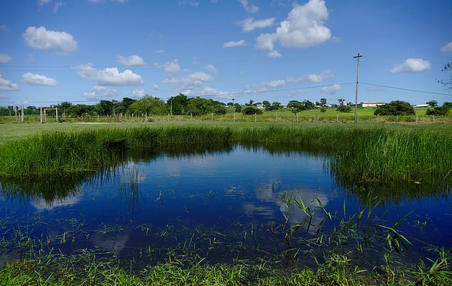 pond, water, reflection, sky, clouds, summer, blue, landscape HD wallpaper