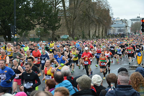 people running near trees, marathon, marathon runners, jogger HD wallpaper