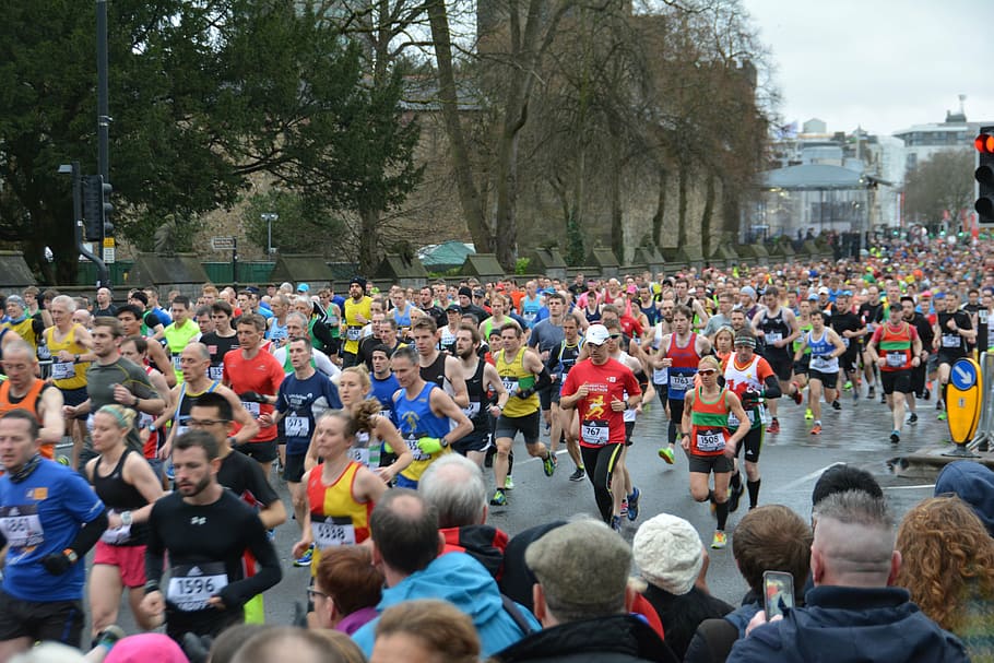 people running near trees, marathon, marathon runners, jogger HD wallpaper
