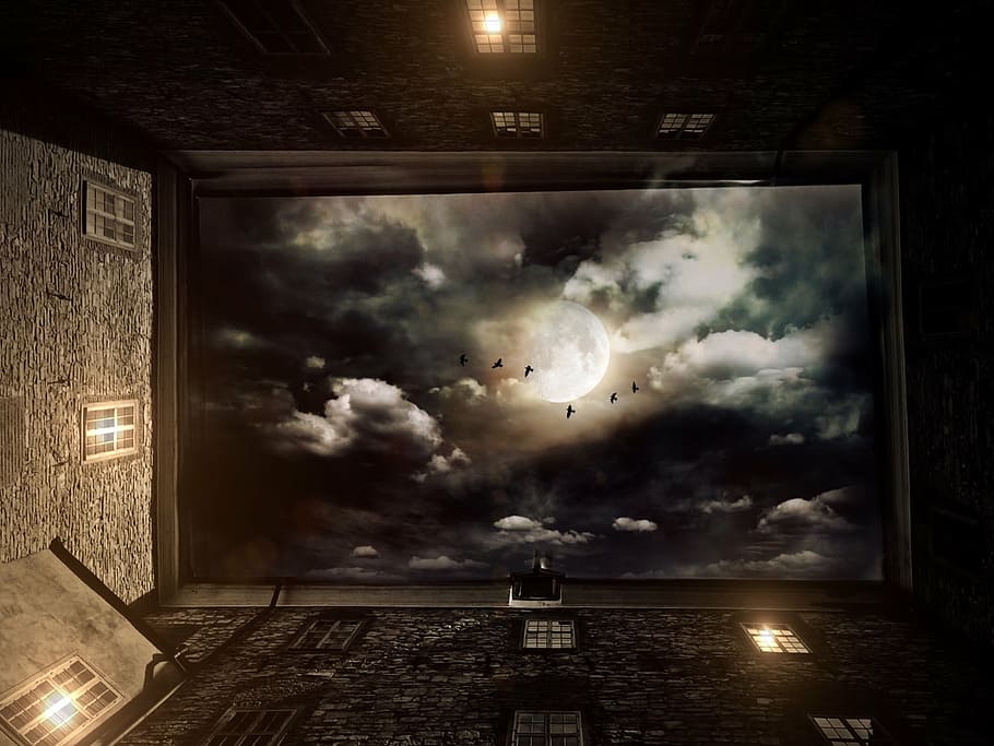 worm's eye view of sky with full moon, home, courtyard, window HD wallpaper